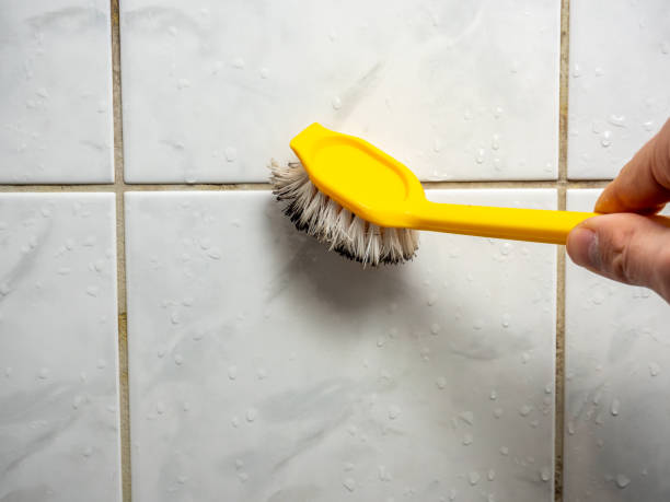 Reliable Wellsboro, PA Mold Removal Solutions