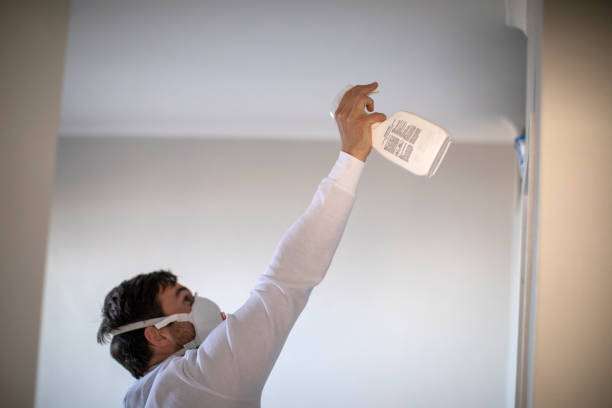 Mold Testing and Removal in Wellsboro, PA