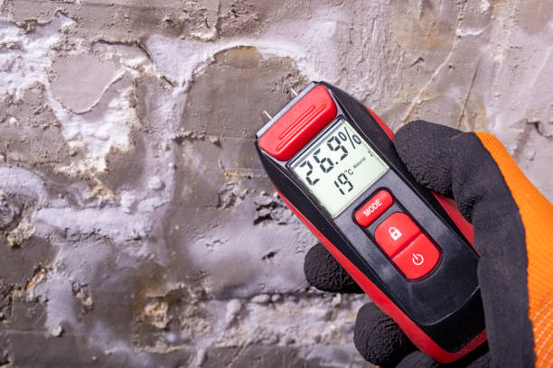 Best Mold Removal and Inspection  in Wellsboro, PA