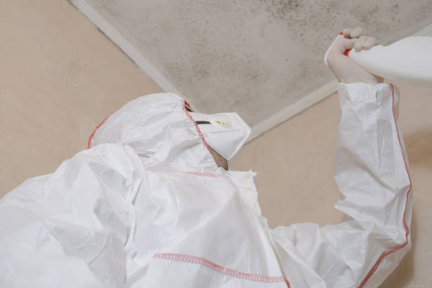 Best Office Mold Removal Services  in Wellsboro, PA